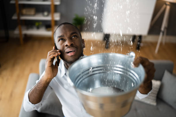 Best Carpet water damage restoration  in Little Silver, NJ
