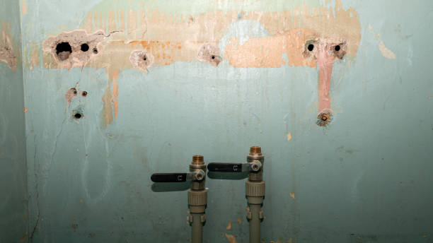 Reliable Little Silver, NJ Water damage restoration Solutions