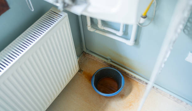 Best Flood damage cleanup  in Little Silver, NJ